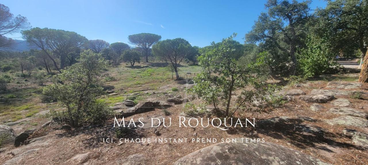 فيداوبان Le Mas Du Rouquan المظهر الخارجي الصورة